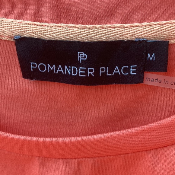 Tuckernuck Pomander Place Stella Dress Sheath Puff Sleeve Apricot Cotton - Picture 3 of 5